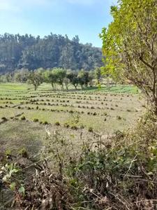 Image of 900 Sq.ft Residential Plot / Land for sale in Phulsani, Dehradun for Rs. 1650000