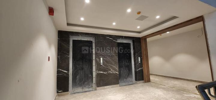 minto pk Main Image 1