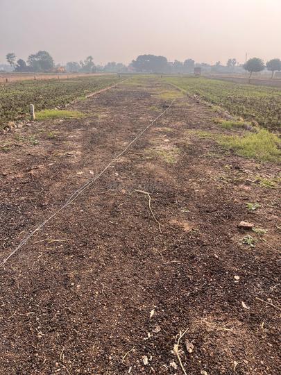 Danapur Chandmari Hathiyakand Plot View 1