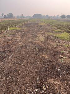 Danapur Chandmari Hathiyakand Plot View 1