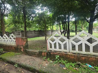 Block C Plot View 1