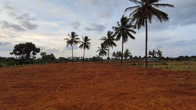 Image of 55539 Sq.ft Residential Plot / Land for sale in Hoskote, Bengaluru for Rs. 72000000