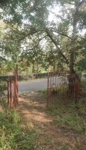 Residential Plot