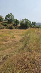 Image of 11000 Sq.ft Residential Plot / Land for sale in Bhor, Pune for Rs. 2100000