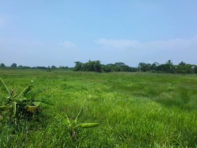 Residential Plot