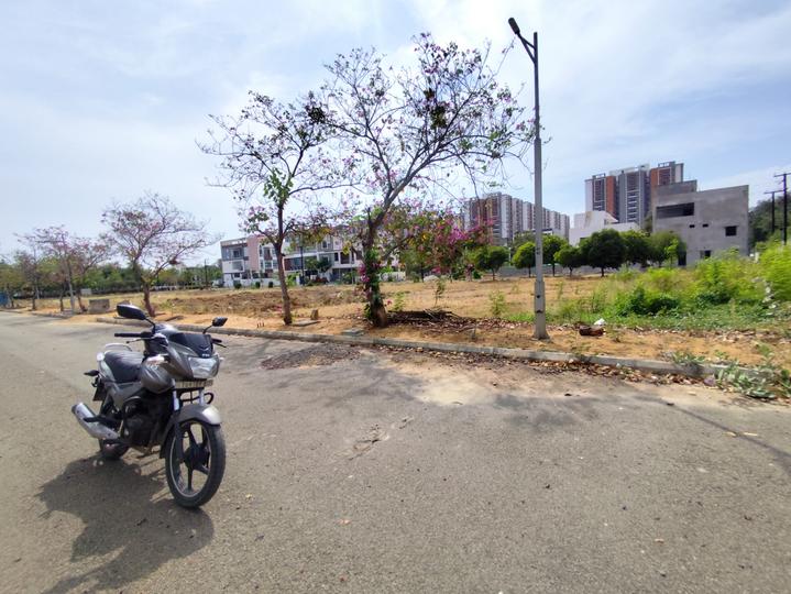 Aparna Kanopy Jasmine Main Image 1