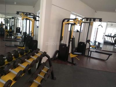 Hall Image of 800 Sq.ft 2 BHK Apartment / Flat for rent in Marvel Ideal Spacio Phase 1, Pisoli Pune for Rs. 29000
