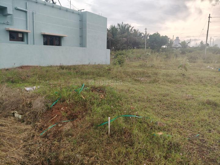 Gss Amrita Coco Shelter Phase 1 Main Image 1
