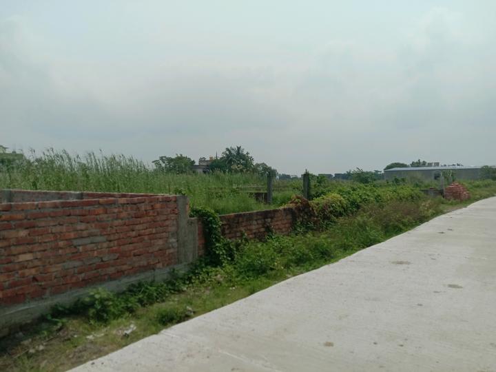 Apparent JB Garden Main Image 1