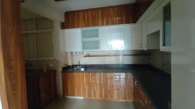 Kitchen Image of 1250 Sq.ft 3 BHK Apartment / Flat for rent in Pigeon Spring Meadows, Noida Extension Greater Noida for Rs. 24000