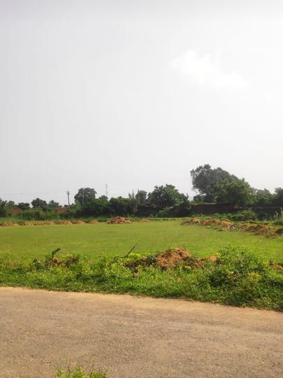 Nawadih Main Image 1