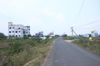 Plot View