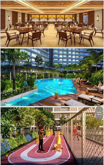 Palm Amore Main Image 1