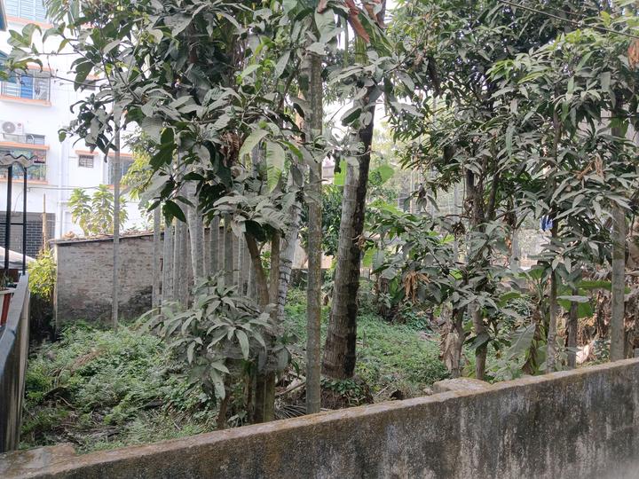 Subhasgram Main Image 1