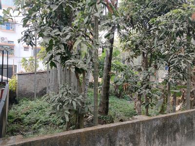 Residential Plot