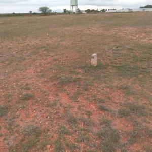 Image of 1000 Sq.ft Residential Plot / Land for sale in Annur, Coimbatore for Rs. 700000