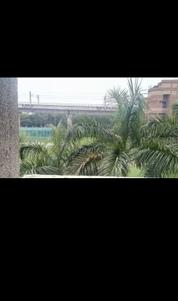 Balcony Image of 1800 Sq.ft 2 BHK Independent House for rent in Karkardooma New Delhi for Rs. 22000