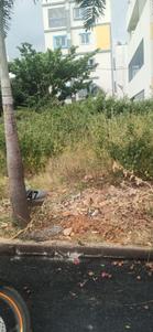 Residential Plot
