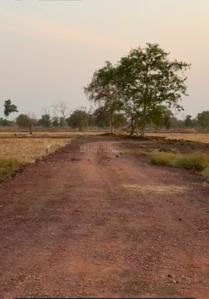 Image of 1060 Sq.ft 2.5 BHK Farm House for sale in Railway Colony, Bilaspur for Rs. 1375000