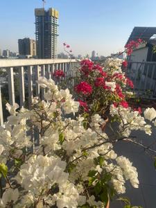 Image of 5500 Sq.ft 4 BHK Penthouse for sale in Thaltej, Ahmedabad for Rs. 57500000