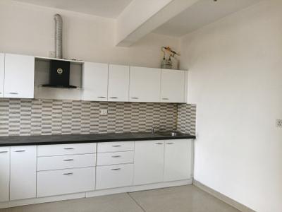 Kitchen Image of 2500 Sq.ft 3 BHK Apartment / Flat for rent in Salarpuria  Sattva Celesta, Battarahalli Bengaluru for Rs. 55000