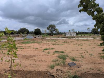 Open plot kothur Plot View 1