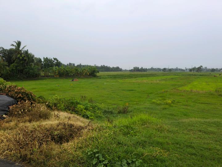 Golden city 2 plot Main Image 1