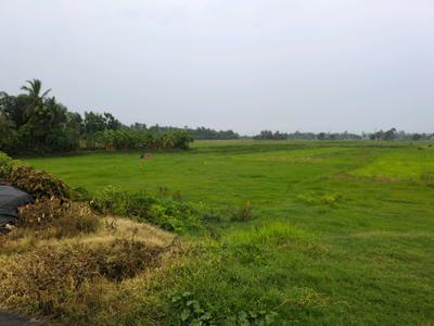 Golden city 2 plot Plot View 1