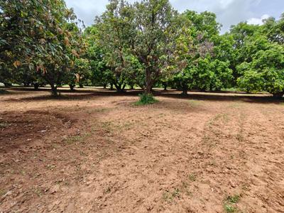 Image of 39300 Sq.ft Residential Plot / Land for sale in Kothapalle, Hyderabad for Rs. 60900000