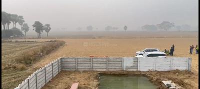 Image of 2400 Sq.ft Residential Plot / Land for sale in Dharampura, Nalanda for Rs. 3360009