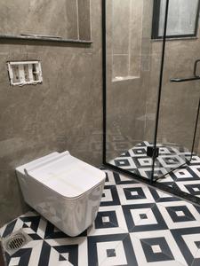 Common Bathroom Image of 2200 Sq.ft 4 BHK Builder Floor for sale in Sector 23 Gurgaon for Rs. 36500000