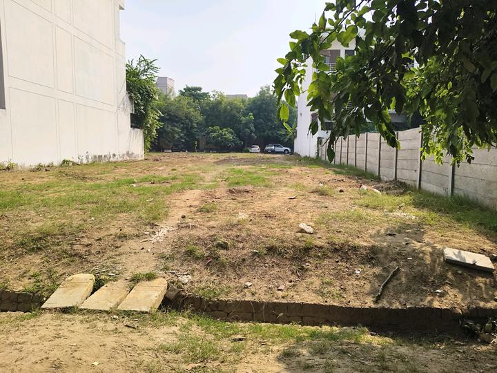 Sector 25, DLF Phase 2 Main Image 1