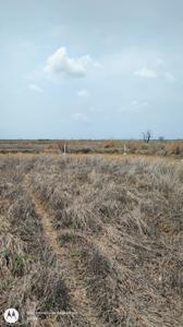 Vindhane Plot View 2