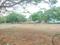Paradise Attibele Main Image 1