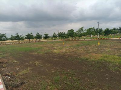 Hampton Palm Plot View 2