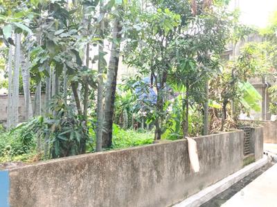 Subhasgram Plot View 2