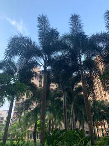Image of 850 Sq.ft 2 BHK Apartment / Flat for sale in DSS Mahavir Kalpavruksha, Kasarvadavali, Thane for Rs. 8600000