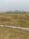 Bihta Main Image 1