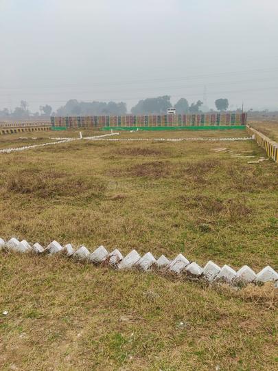 Bihta Main Image 1