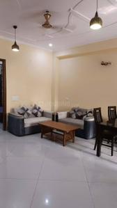 Hall Image of 1700 Sq.ft 3 BHK Builder Floor for rent in Sector 39 Gurgaon for Rs. 59000