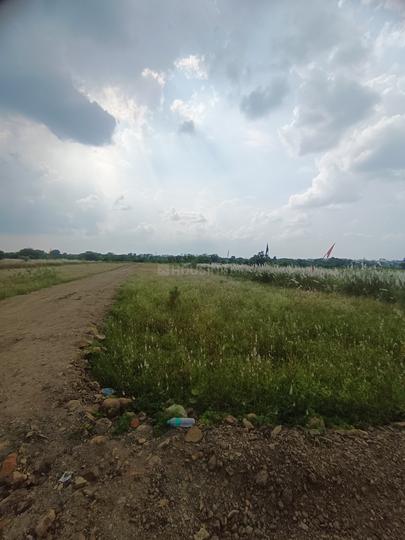 Pipla kinkheda Main Image 1