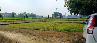 Image of 1000 Sq.ft Residential Plot / Land for sale in Babatpur, Varanasi for Rs. 1650000