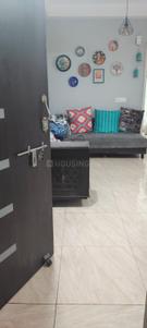 Hall Image of 1075 Sq.ft 2 BHK Apartment / Flat for rent in Gaur City 7th Avenue, Noida Extension Greater Noida for Rs. 23000