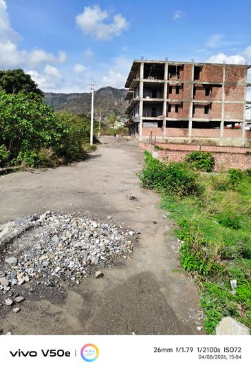 Emerald green shastradhara road near panache valley Main Image 1