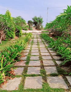 Image of 1409 Sq.ft Residential Plot / Land for sale in Uruli Kanchan, Pune for Rs. 2200000