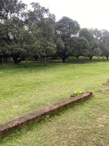 Image of 1200 Sq.ft Residential Plot / Land for sale in Para, Lucknow for Rs. 1798800