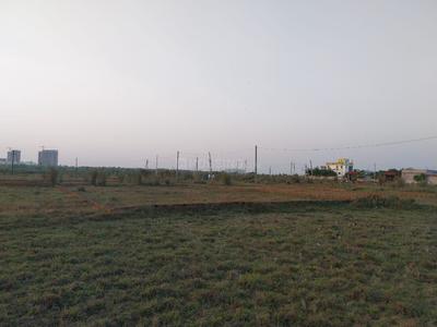 Project sar Plot View 3