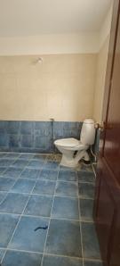 Bathroom Image of 3800 Sq.ft 5 BHK Villa for rent in Suchirindia Timber Leaf, Shamshabad Hyderabad for Rs. 50000