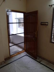 Hall Image of 1000 Sq.ft 2 BHK Apartment / Flat for rent in Dollfine KVNM Estates, Ashok Nagar Vijayawada for Rs. 12000