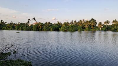 Image of 19600 Sq.ft Residential Plot / Land for sale in Panangad, Kochi for Rs. 38250000